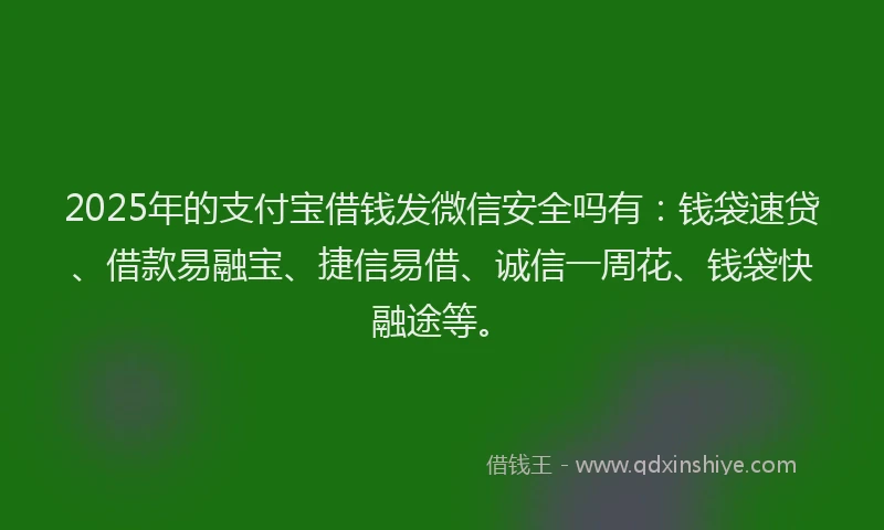 2025年的支付宝借钱发微信安全吗有：钱袋速贷、借款易融宝、捷信易借、诚信一周花、钱袋快融途等。