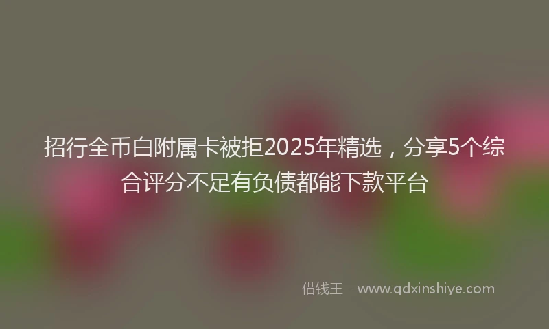 招行全币白附属卡被拒2025年精选，分享5个综合评分不足有负债都能下款平台