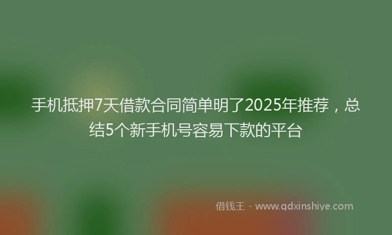 手机抵押7天借款合同简单明了2025年推荐，总结5个新手机号容易下款的平台