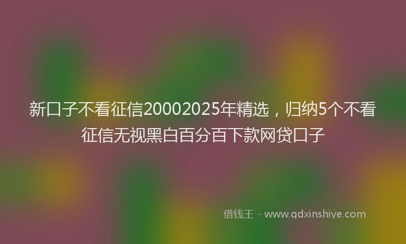 新口子不看征信20002025年精选，归纳5个不看征信无视黑白百分百下款网贷口子