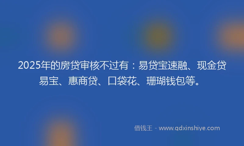 2025年的房贷审核不过有：易贷宝速融、现金贷易宝、惠商贷、口袋花、珊瑚钱包等。