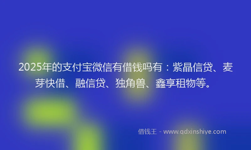 2025年的支付宝微信有借钱吗有：紫晶信贷、麦芽快借、融信贷、独角兽、鑫享租物等。
