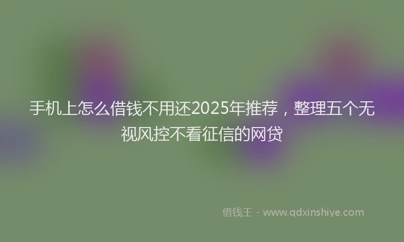 手机上怎么借钱不用还2025年推荐，整理五个无视风控不看征信的网贷