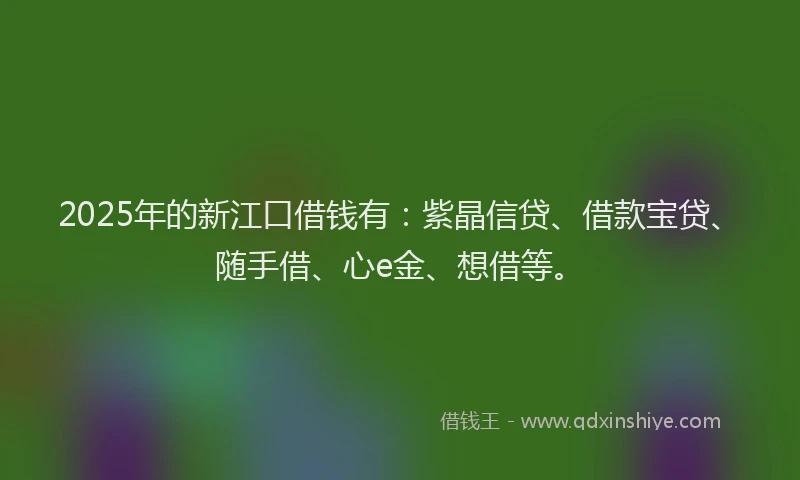 2025年的新江口借钱有：紫晶信贷、借款宝贷、随手借、心e金、想借等。