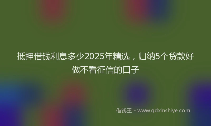 抵押借钱利息多少2025年精选，归纳5个贷款好做不看征信的口子