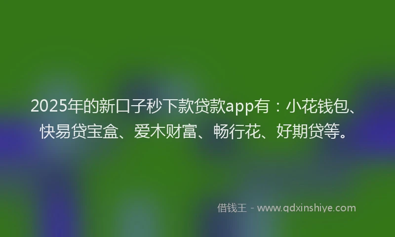 2025年的新口子秒下款贷款app有：小花钱包、快易贷宝盒、爱木财富、畅行花、好期贷等。
