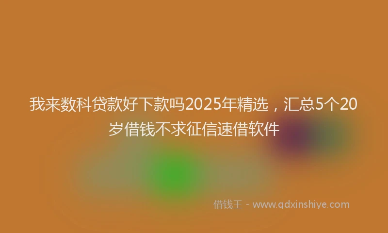 我来数科贷款好下款吗2025年精选，汇总5个20岁借钱不求征信速借软件