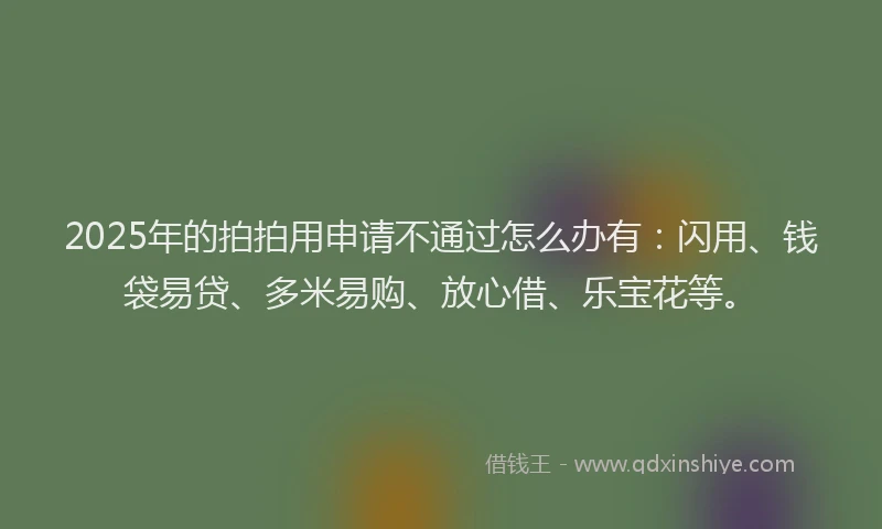 2025年的拍拍用申请不通过怎么办有：闪用、钱袋易贷、多米易购、放心借、乐宝花等。