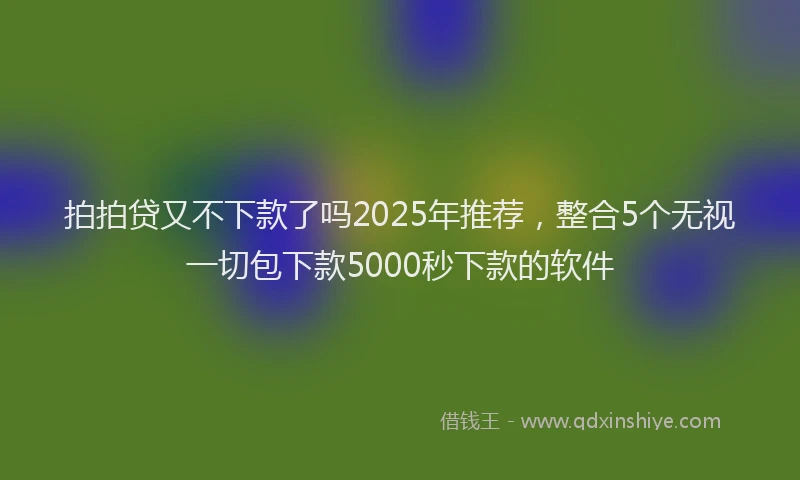 拍拍贷又不下款了吗2025年推荐，整合5个无视一切包下款5000秒下款的软件