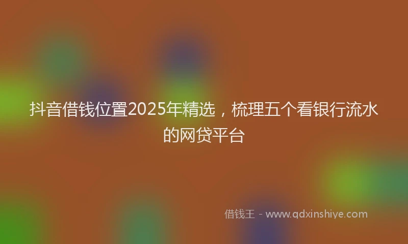 抖音借钱位置2025年精选，梳理五个看银行流水的网贷平台
