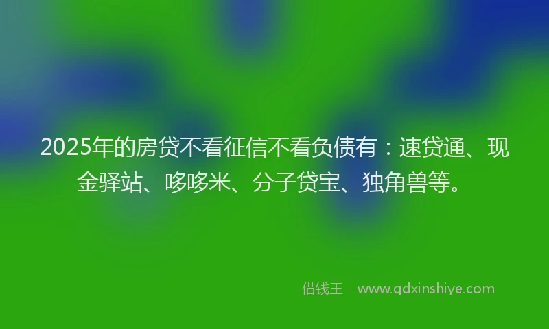 2025年的房贷不看征信不看负债有：速贷通、现金驿站、哆哆米、分子贷宝、独角兽等。