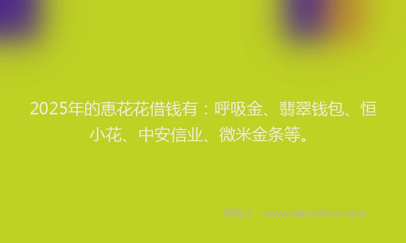 2025年的恵花花借钱有：呼吸金、翡翠钱包、恒小花、中安信业、微米金条等。