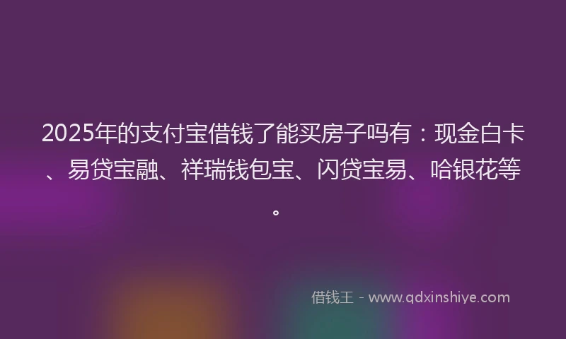 2025年的支付宝借钱了能买房子吗有：现金白卡、易贷宝融、祥瑞钱包宝、闪贷宝易、哈银花等。