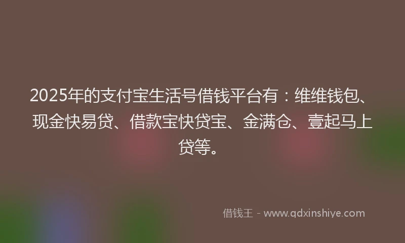 2025年的支付宝生活号借钱平台有：维维钱包、现金快易贷、借款宝快贷宝、金满仓、壹起马上贷等。