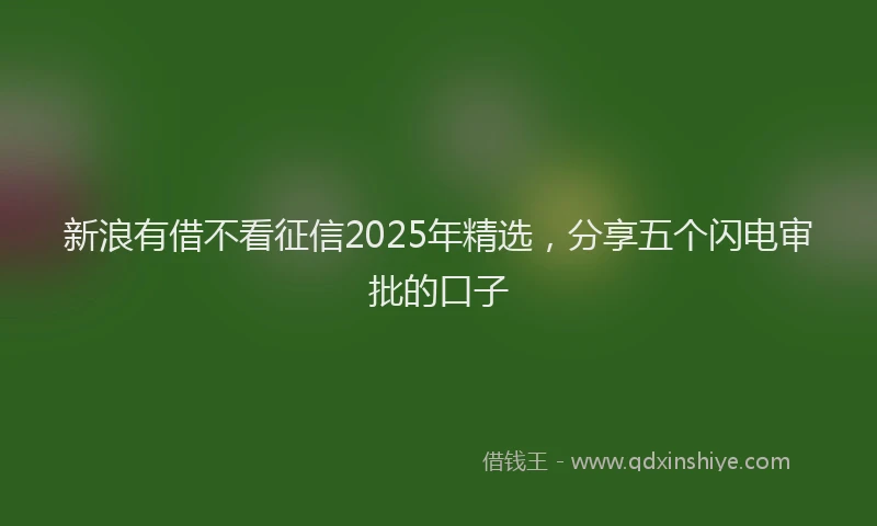新浪有借不看征信2025年精选，分享五个闪电审批的口子