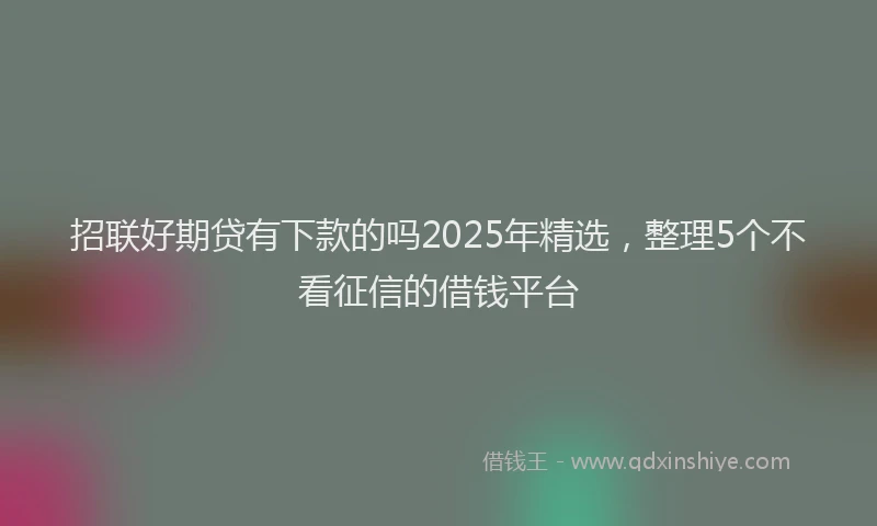 招联好期贷有下款的吗2025年精选，整理5个不看征信的借钱平台
