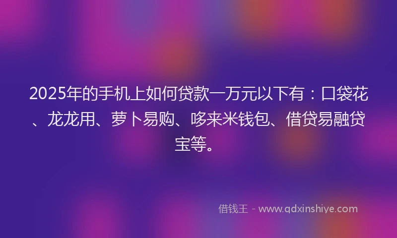 2025年的手机上如何贷款一万元以下有：口袋花、龙龙用、萝卜易购、哆来米钱包、借贷易融贷宝等。