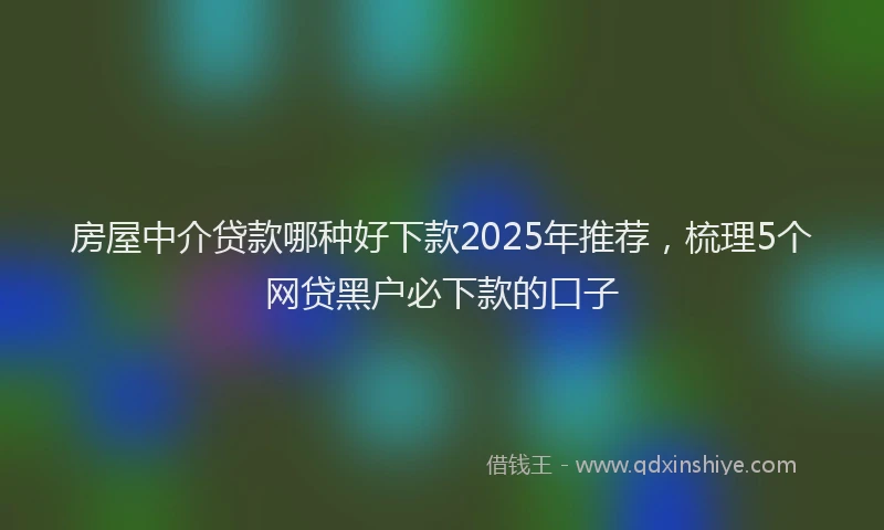 房屋中介贷款哪种好下款2025年推荐，梳理5个网贷黑户必下款的口子