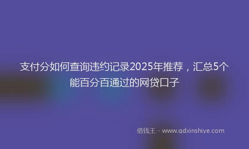 支付分如何查询违约记录2025年推荐，汇总5个能百分百通过的网贷口子