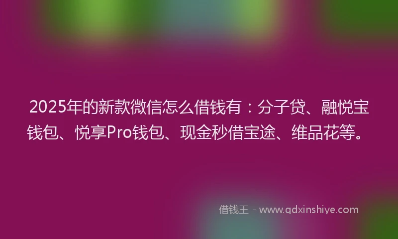 2025年的新款微信怎么借钱有：分子贷、融悦宝钱包、悦享Pro钱包、现金秒借宝途、维品花等。