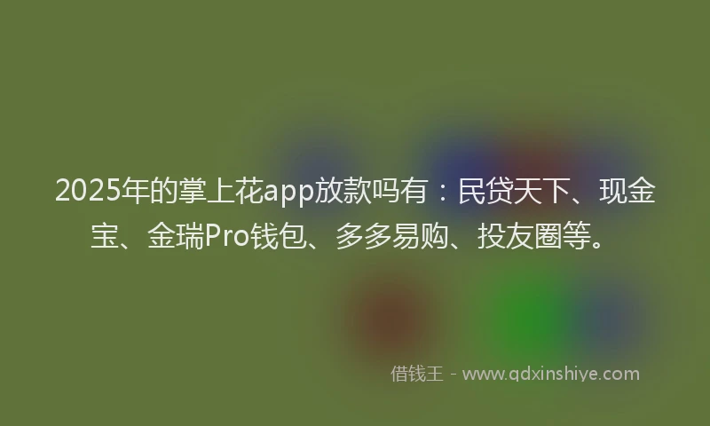 2025年的掌上花app放款吗有：民贷天下、现金宝、金瑞Pro钱包、多多易购、投友圈等。