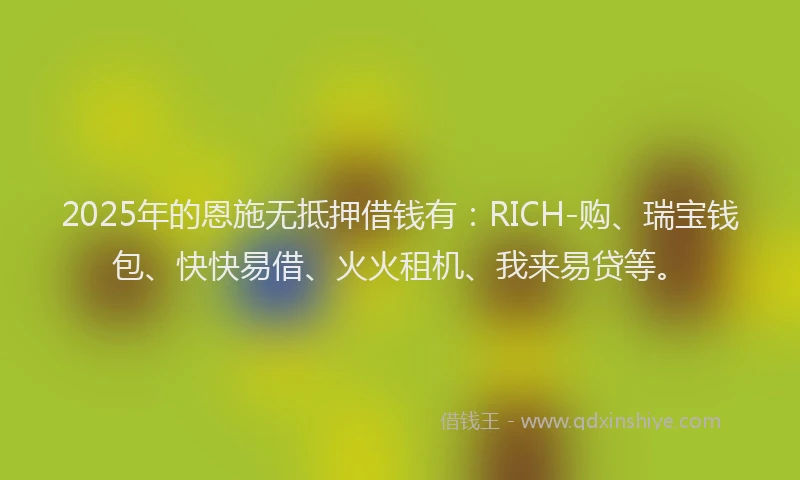 2025年的恩施无抵押借钱有：RICH-购、瑞宝钱包、快快易借、火火租机、我来易贷等。
