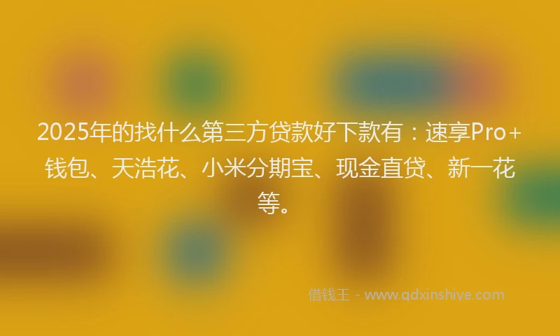 2025年的找什么第三方贷款好下款有：速享Pro+钱包、天浩花、小米分期宝、现金直贷、新一花等。