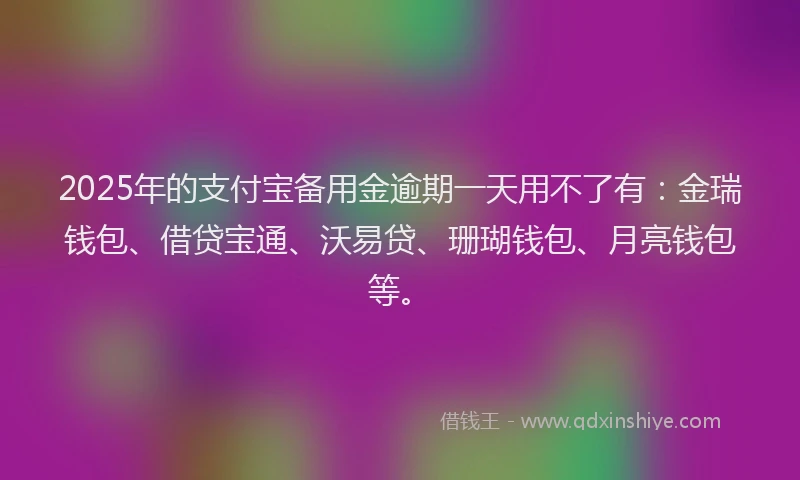 2025年的支付宝备用金逾期一天用不了有：金瑞钱包、借贷宝通、沃易贷、珊瑚钱包、月亮钱包等。