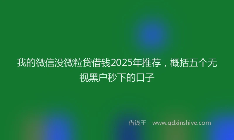 我的微信没微粒贷借钱2025年推荐，概括五个无视黑户秒下的口子