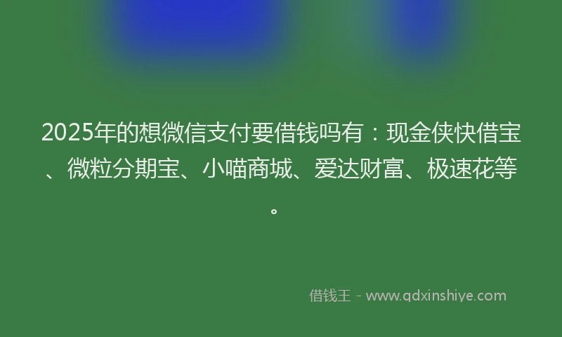 2025年的想微信支付要借钱吗有：现金侠快借宝、微粒分期宝、小喵商城、爱达财富、极速花等。