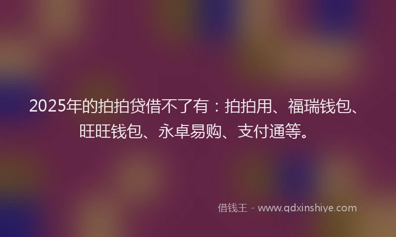 2025年的拍拍贷借不了有：拍拍用、福瑞钱包、旺旺钱包、永卓易购、支付通等。