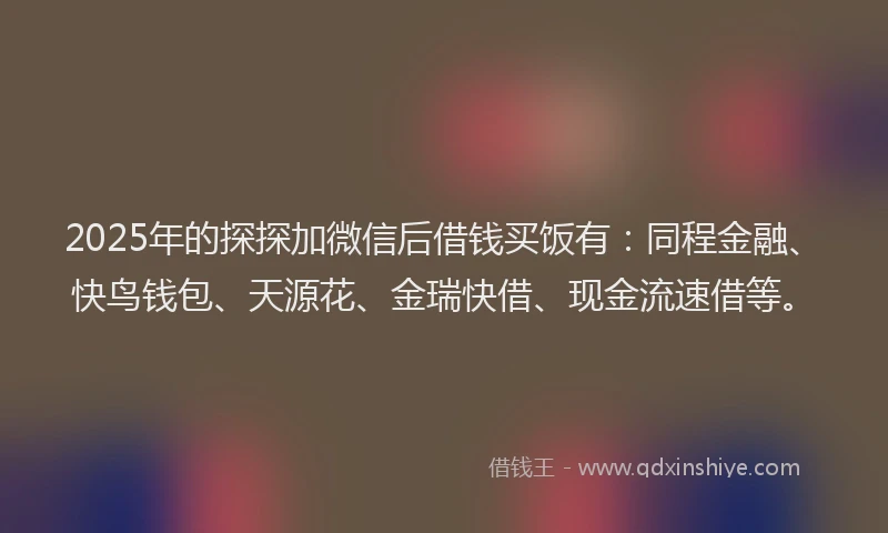 2025年的探探加微信后借钱买饭有：同程金融、快鸟钱包、天源花、金瑞快借、现金流速借等。