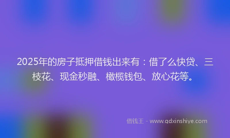 2025年的房子抵押借钱出来有：借了么快贷、三枝花、现金秒融、橄榄钱包、放心花等。