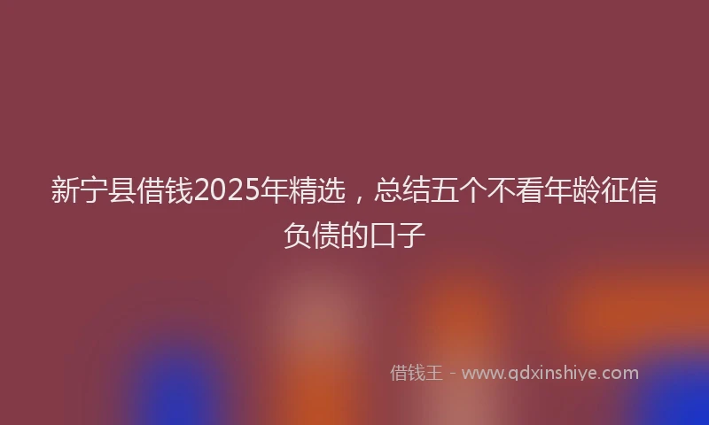 新宁县借钱2025年精选，总结五个不看年龄征信负债的口子