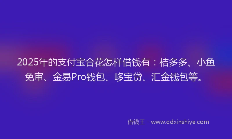 2025年的支付宝合花怎样借钱有：桔多多、小鱼免审、金易Pro钱包、哆宝贷、汇金钱包等。