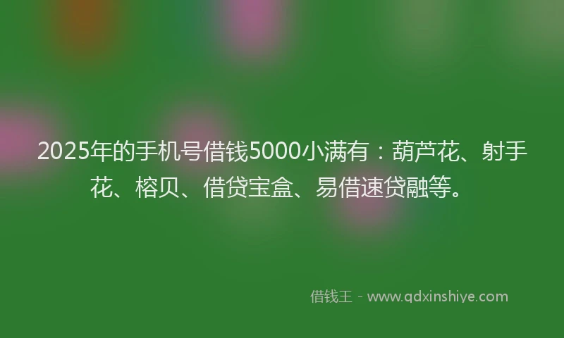 2025年的手机号借钱5000小满有：葫芦花、射手花、榕贝、借贷宝盒、易借速贷融等。