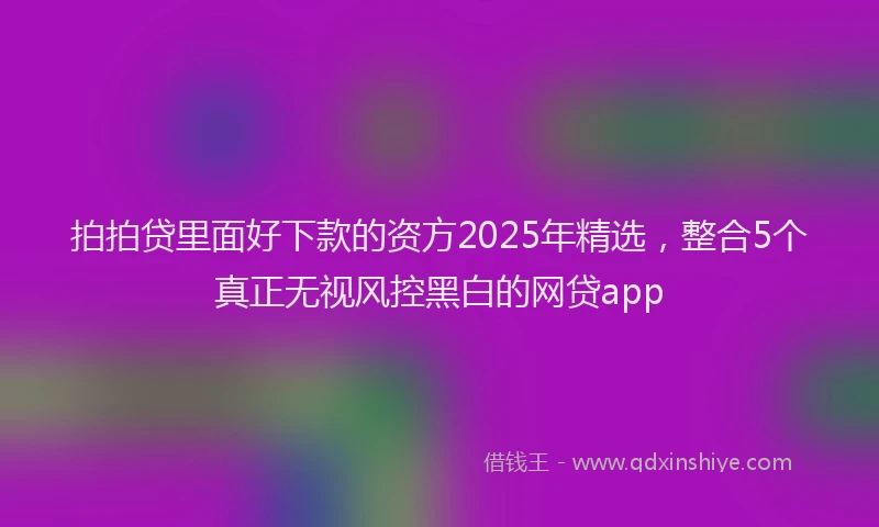 拍拍贷里面好下款的资方2025年精选，整合5个真正无视风控黑白的网贷app