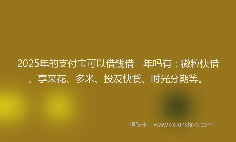 2025年的支付宝可以借钱借一年吗有：微粒快借、享来花、多米、投友快贷、时光分期等。