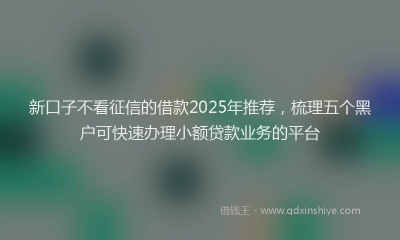 新口子不看征信的借款2025年推荐，梳理五个黑户可快速办理小额贷款业务的平台