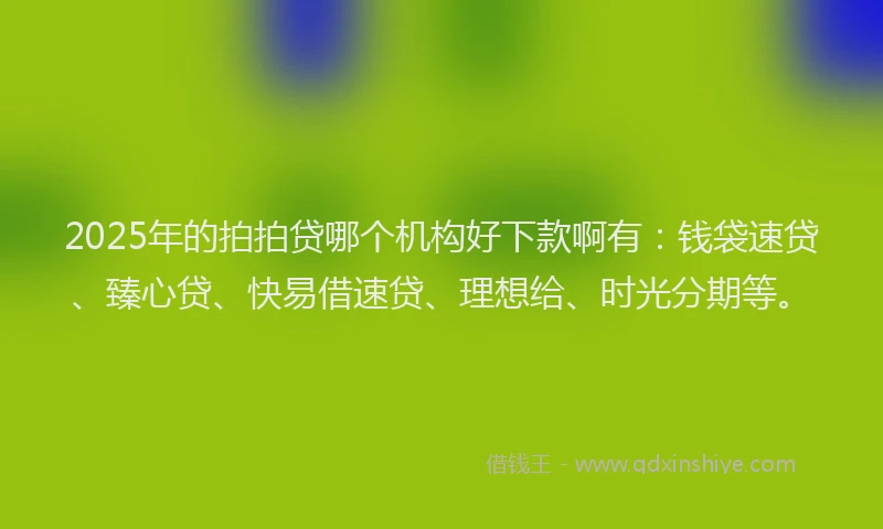 2025年的拍拍贷哪个机构好下款啊有：钱袋速贷、臻心贷、快易借速贷、理想给、时光分期等。