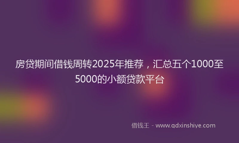 房贷期间借钱周转2025年推荐，汇总五个1000至5000的小额贷款平台