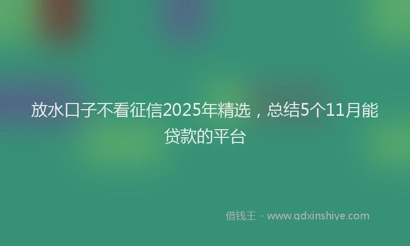 放水口子不看征信2025年精选，总结5个11月能贷款的平台