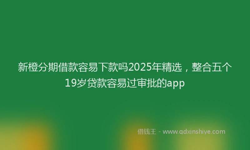 新橙分期借款容易下款吗2025年精选，整合五个19岁贷款容易过审批的app