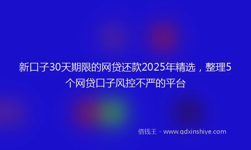 新口子30天期限的网贷还款2025年精选，整理5个网贷口子风控不严的平台
