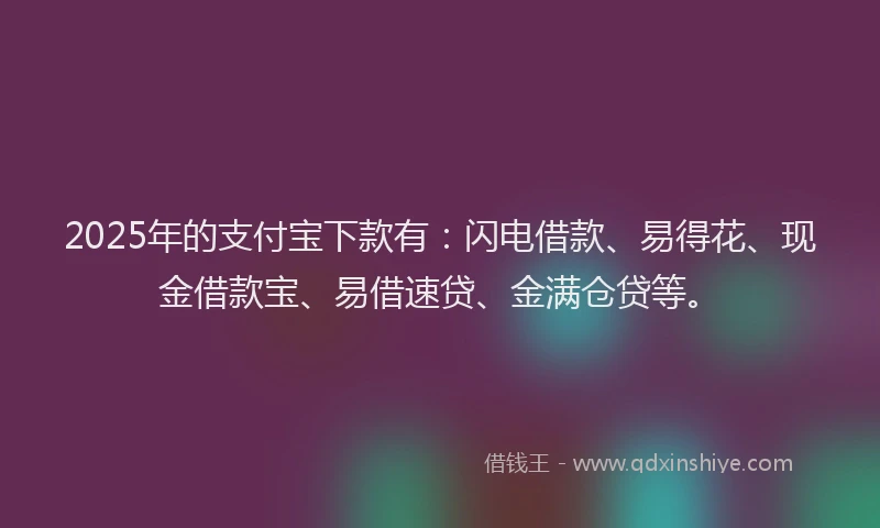 2025年的支付宝下款有：闪电借款、易得花、现金借款宝、易借速贷、金满仓贷等。