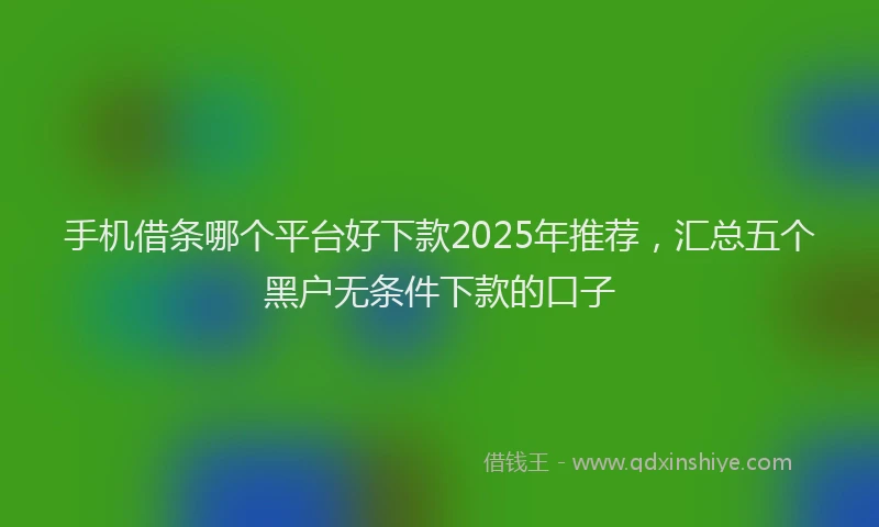 手机借条哪个平台好下款2025年推荐，汇总五个黑户无条件下款的口子