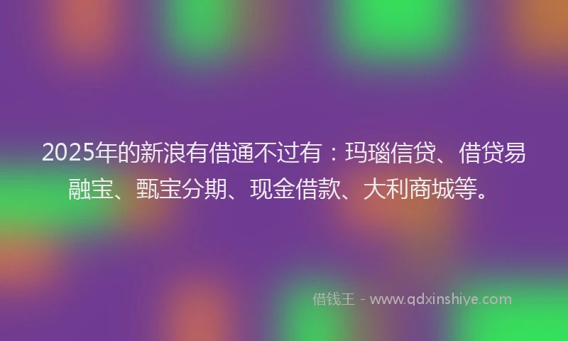 2025年的新浪有借通不过有：玛瑙信贷、借贷易融宝、甄宝分期、现金借款、大利商城等。