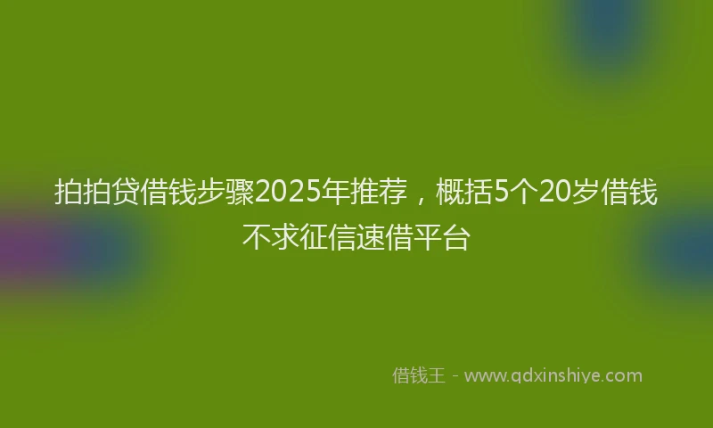 拍拍贷借钱步骤2025年推荐，概括5个20岁借钱不求征信速借平台