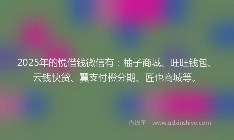 2025年的悦借钱微信有：柚子商城、旺旺钱包、云钱快贷、翼支付橙分期、匠也商城等。