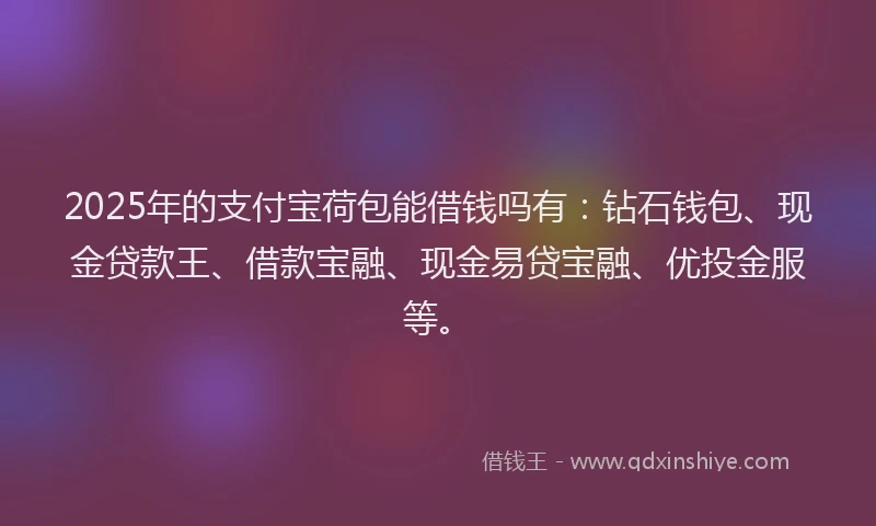 2025年的支付宝荷包能借钱吗有：钻石钱包、现金贷款王、借款宝融、现金易贷宝融、优投金服等。